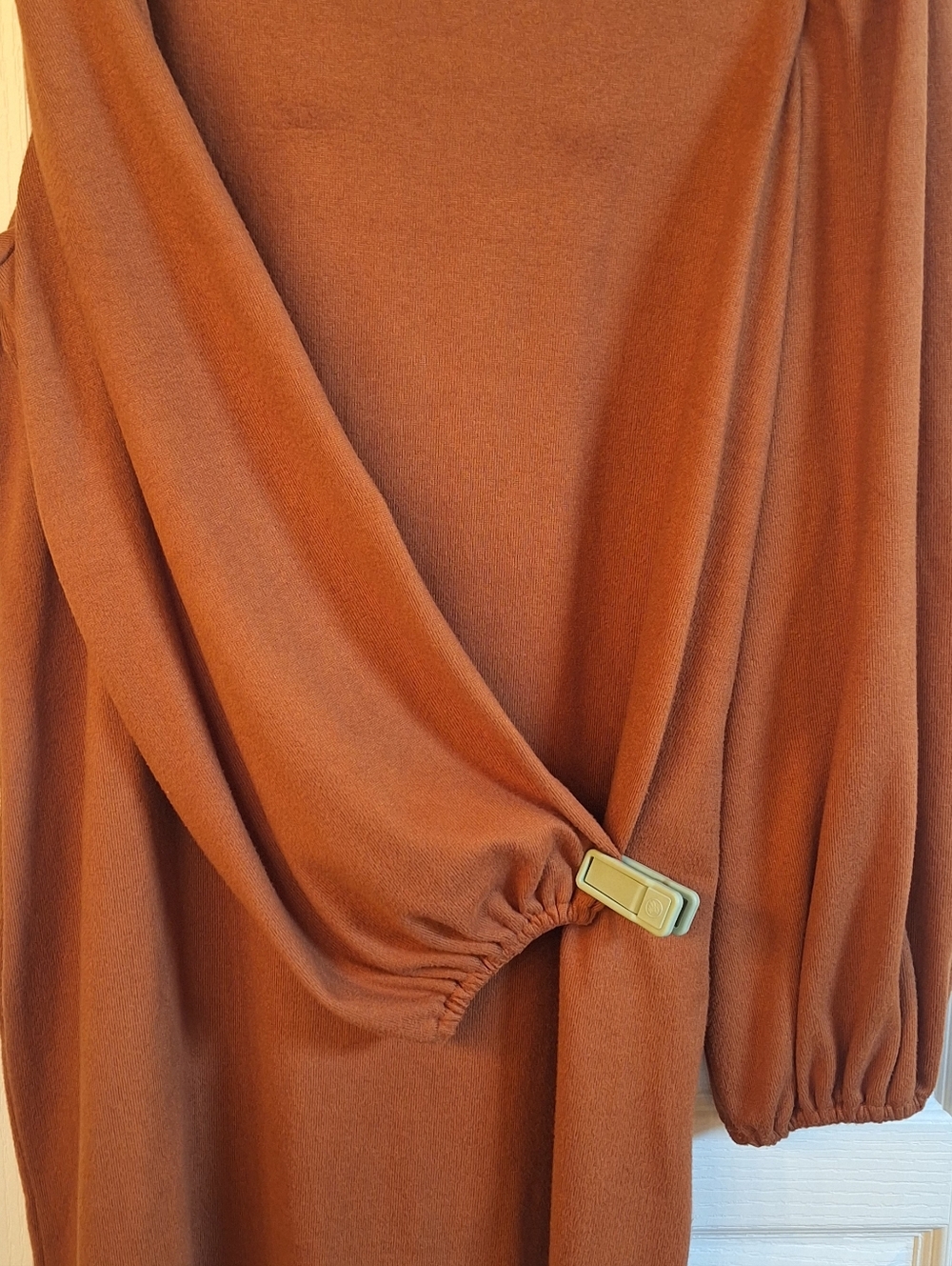 A new day Rust-Colored Long Sleeve Shift Dress with Puff Sleeves - Picture 4 of 4